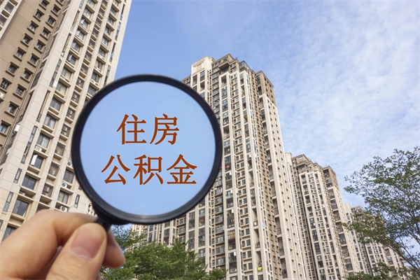 聊城离职后离职公积金如何取（离职后公积金提取步骤）